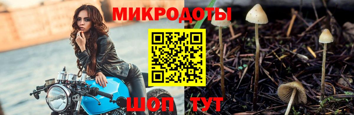Псилоцибиновые грибы прущие грибы  Вход с VPN  Тулун 